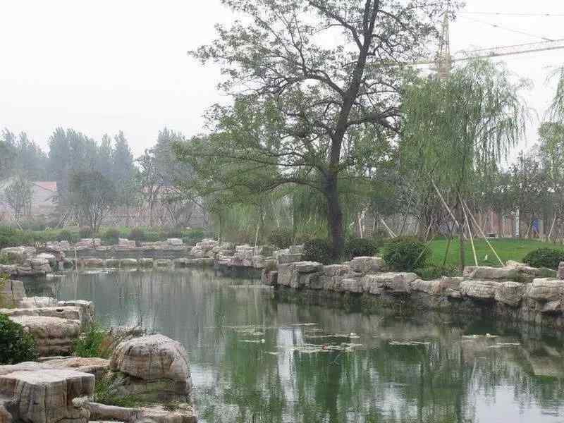 驳岸工程、畅销全国