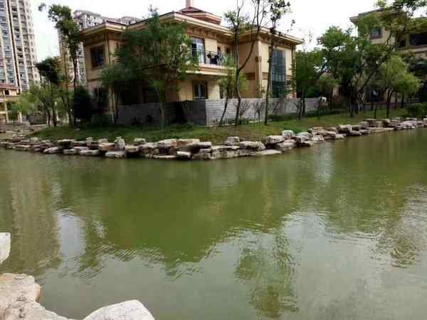 驳岸工程、经验丰富