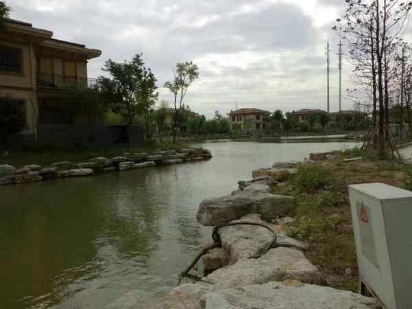 驳岸工程、大气美观