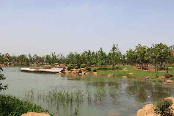 驳岸工程、上门指导