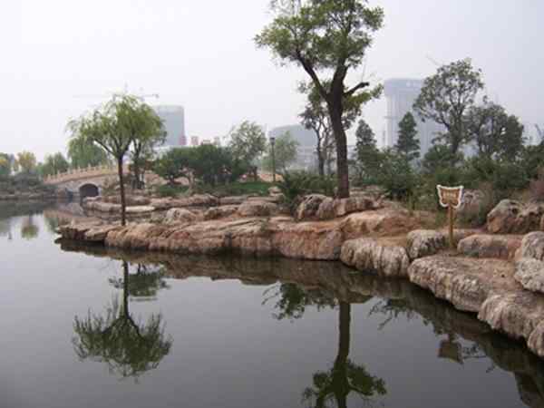 驳岸工程、上门指导