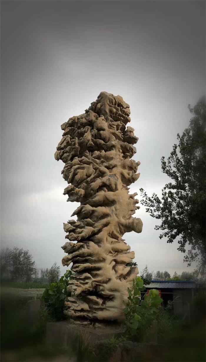 园林景观石、用途广泛