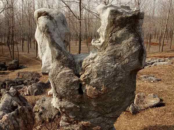 园林景观石、资源丰富