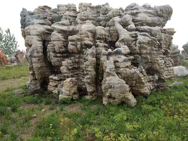 园林景观石、送货上门