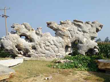 园林景观石、送货上门