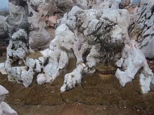 园林景观石、气势磅礴