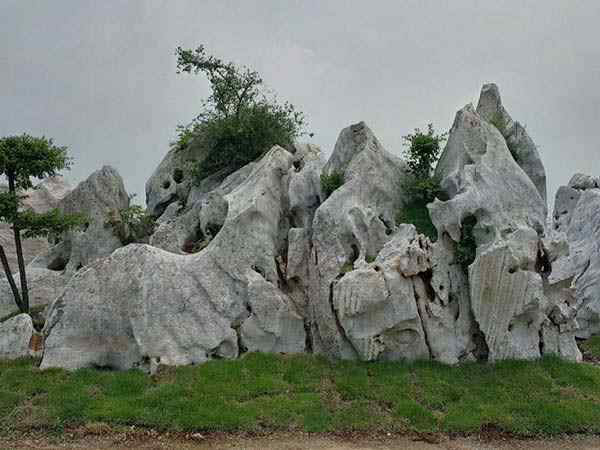 园林景观石、气势磅礴