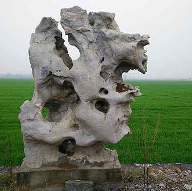 园林景观石、纹理清晰