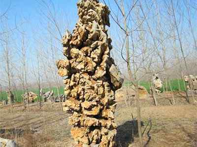 园林景观石、网上价优