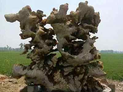 园林景观石、线条流畅