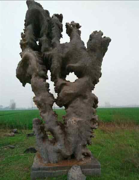 园林景观石、线条流畅