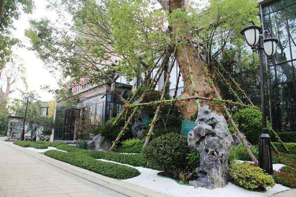 园林绿化、私人订制