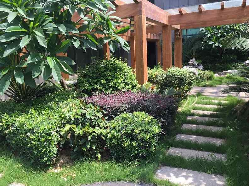 园林绿化、资源丰富