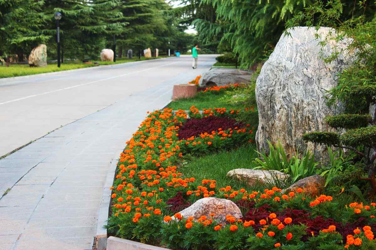 景观石厂家教你景观石养护的最佳方法