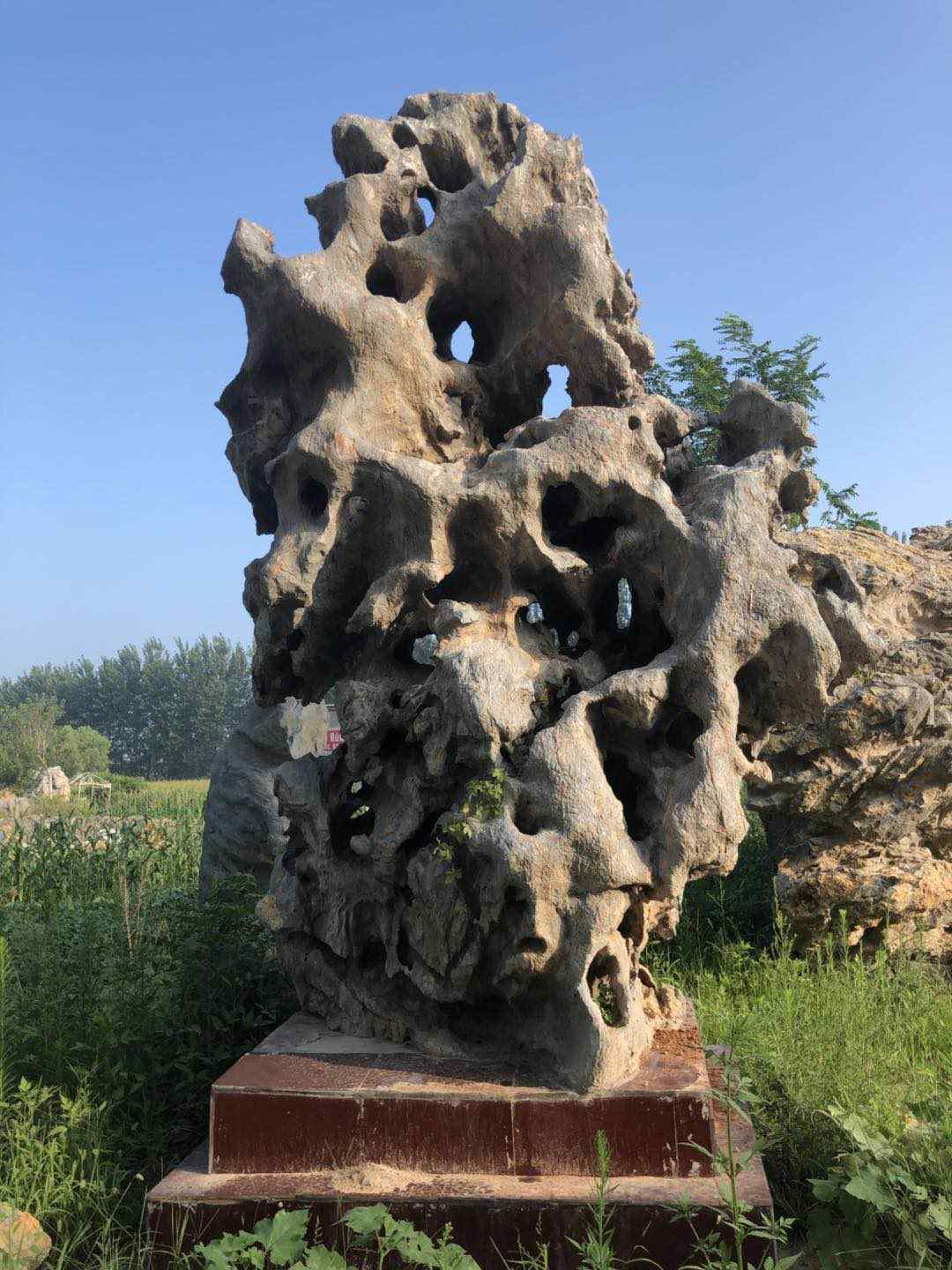 园林绿化、量大从优