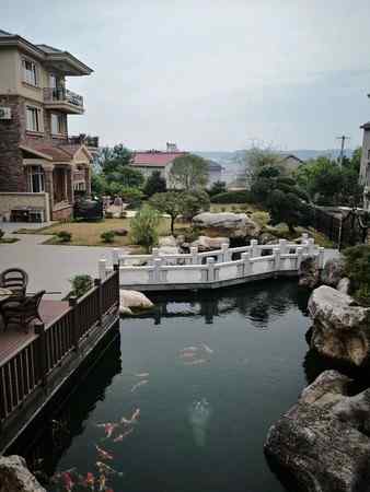 园林绿化、美观典雅