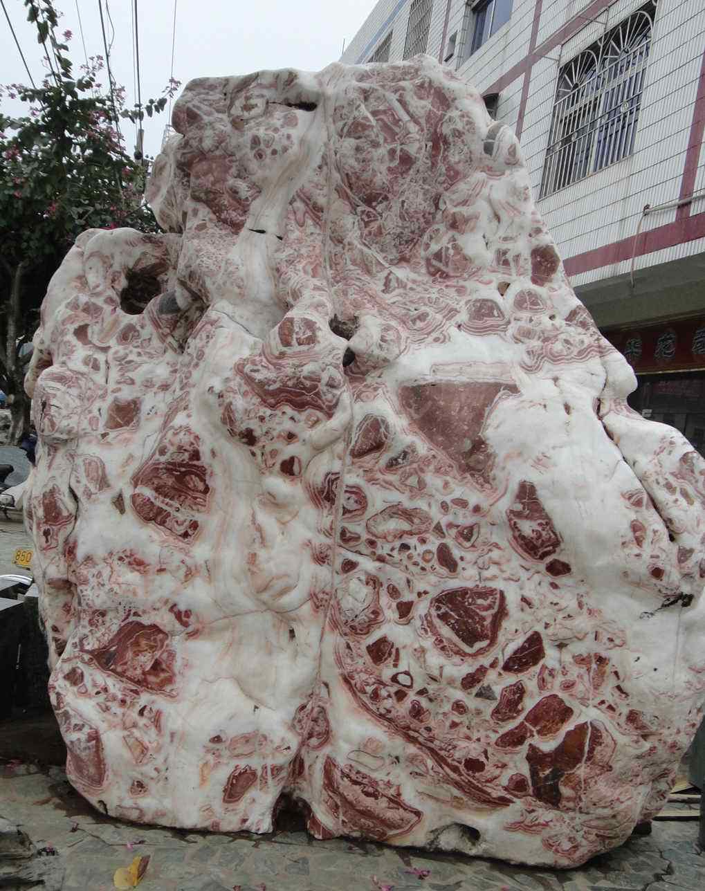 造型是多变的奇石