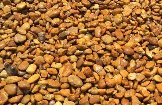 最新到的黄蜡石