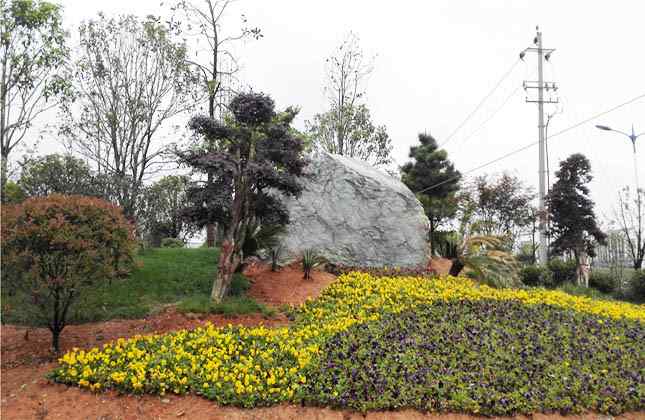 九龙玉草坪点缀