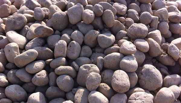 精品鹅卵石批发