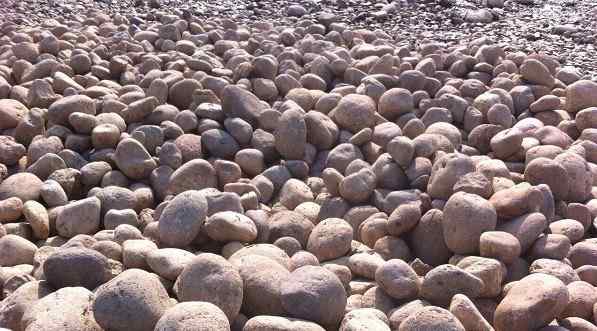 场地新进的鹅卵石