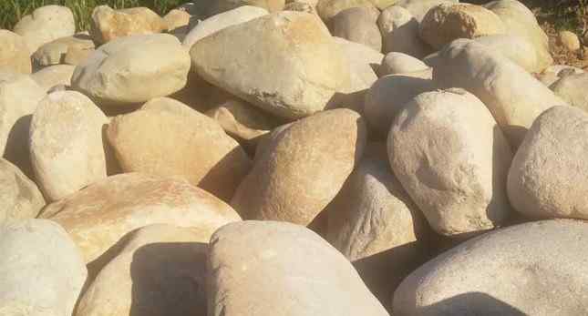 精品水冲石大量现货