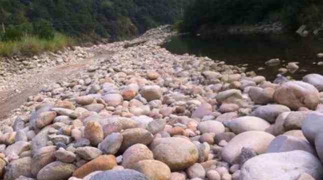 最新进的一批水冲石