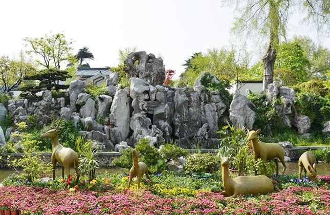 庭院假山石效果图