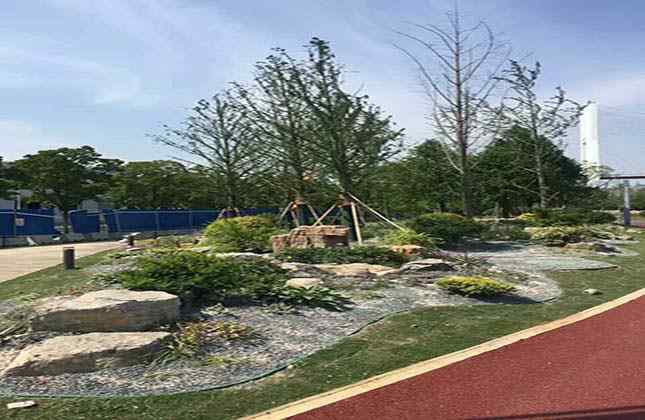 龟纹石草坪点缀