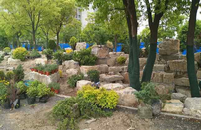 龟纹石草坪点缀效果图