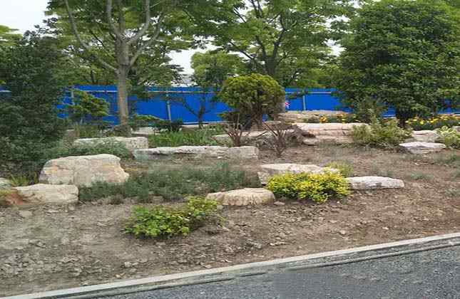 公路边龟纹石的点缀