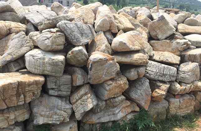 龟纹石批发矿山发货量大从优