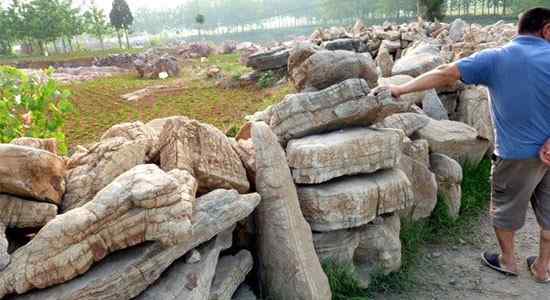 客户挑选龟纹石