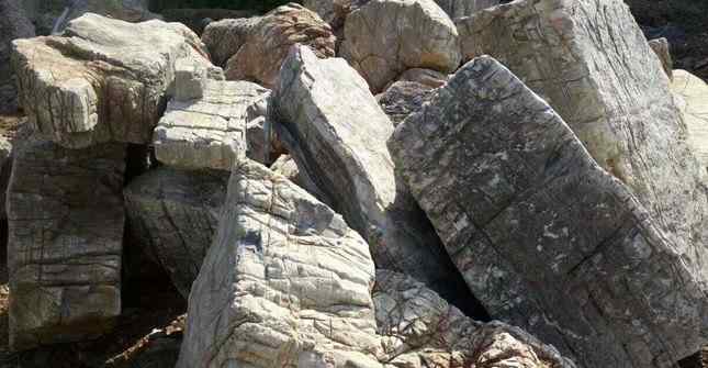 场地新进龟纹石