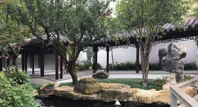 龟纹石的工程案例