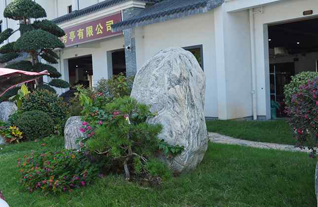 泰山石门口草坪点缀