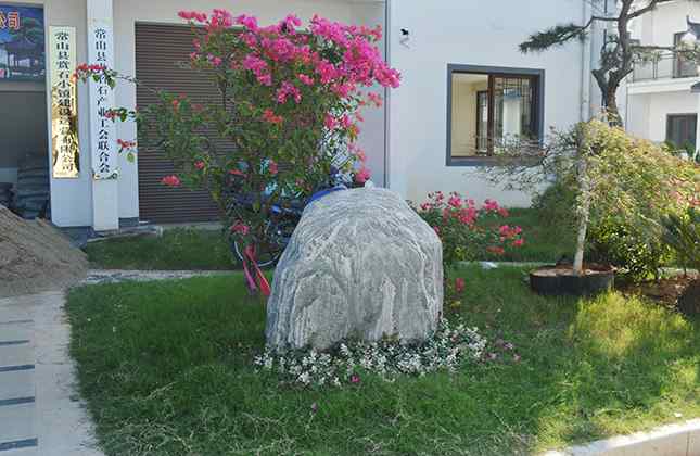 泰山石草坪点缀