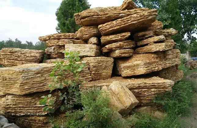 场地精品千层石