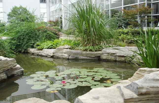 千层石河道驳岸工程