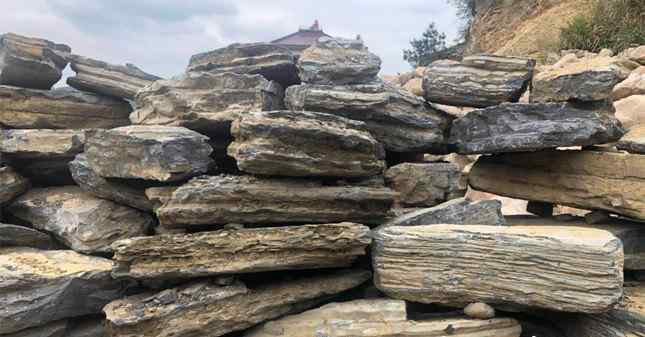 场地新到的一批千层石