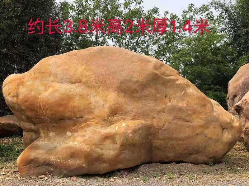 长3.8米 高2米 厚1.4米 黄蜡石