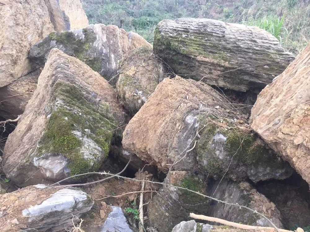 园林景观石奇石