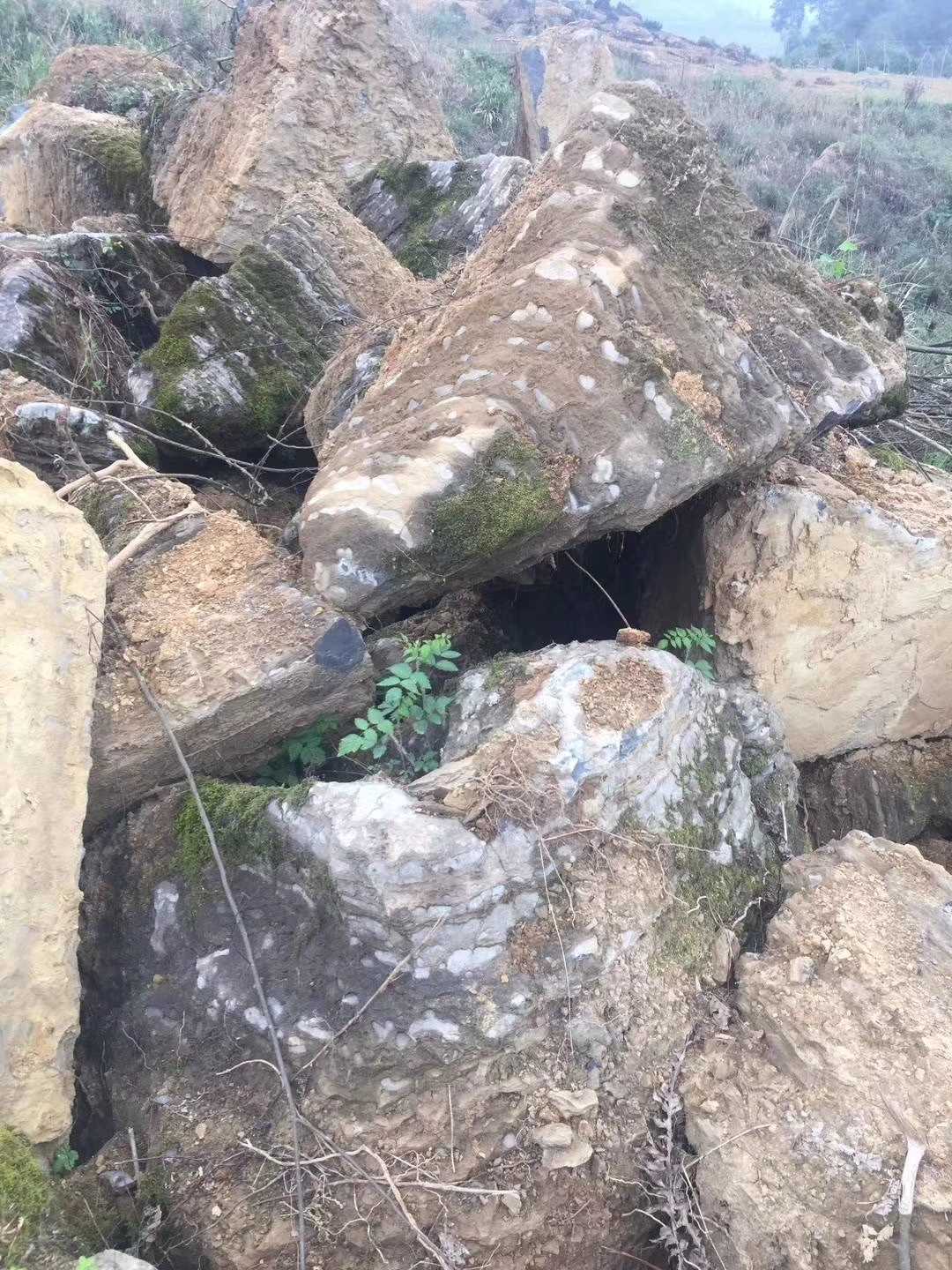 园林景观石奇石