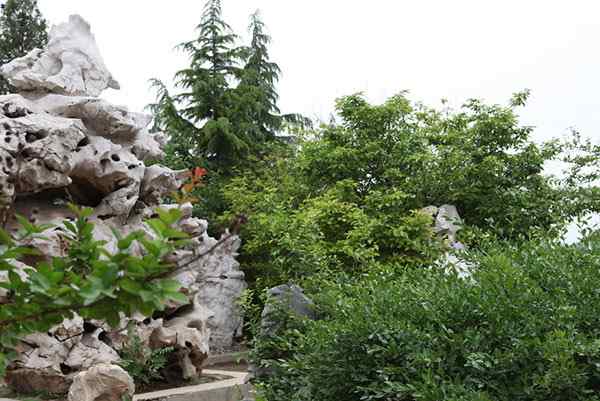 如何让景观设计充满韵律感？