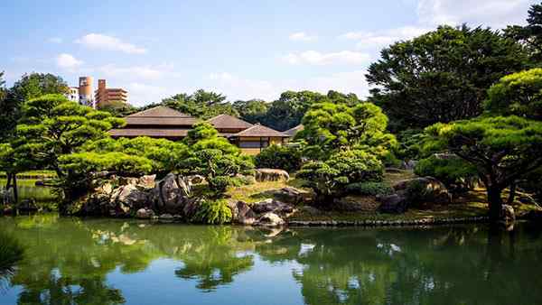 浅谈城市园林绿化