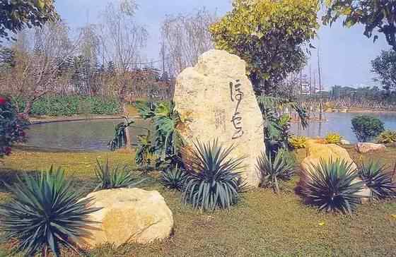 【欣赏】史上最全园林景观石图集(图7)