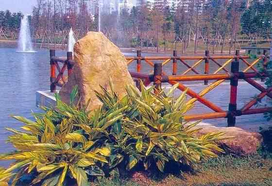 【欣赏】史上最全园林景观石图集(图39)