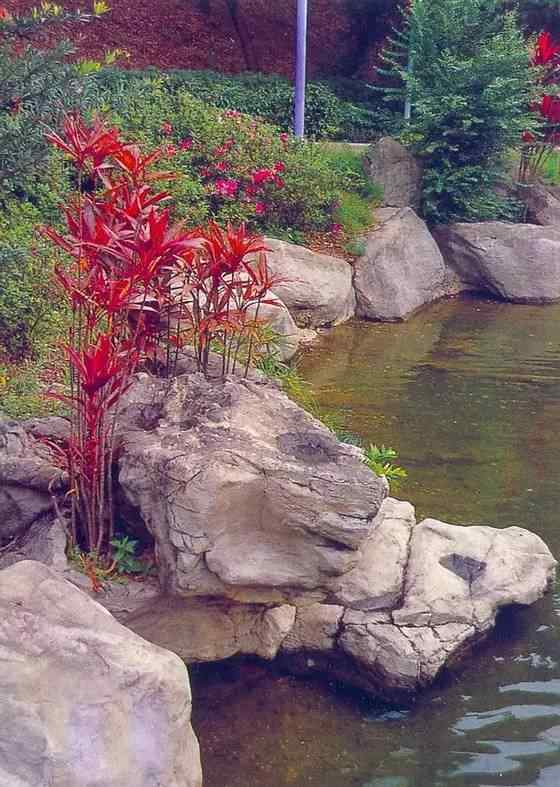 【欣赏】史上最全园林景观石图集(图14)