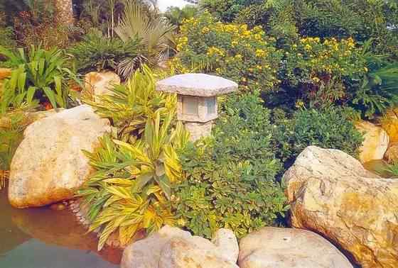 【欣赏】史上最全园林景观石图集(图15)