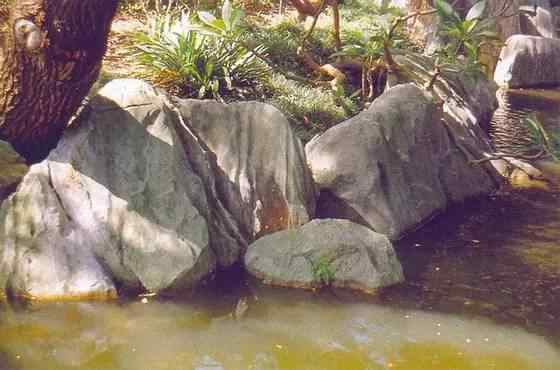【欣赏】史上最全园林景观石图集(图18)